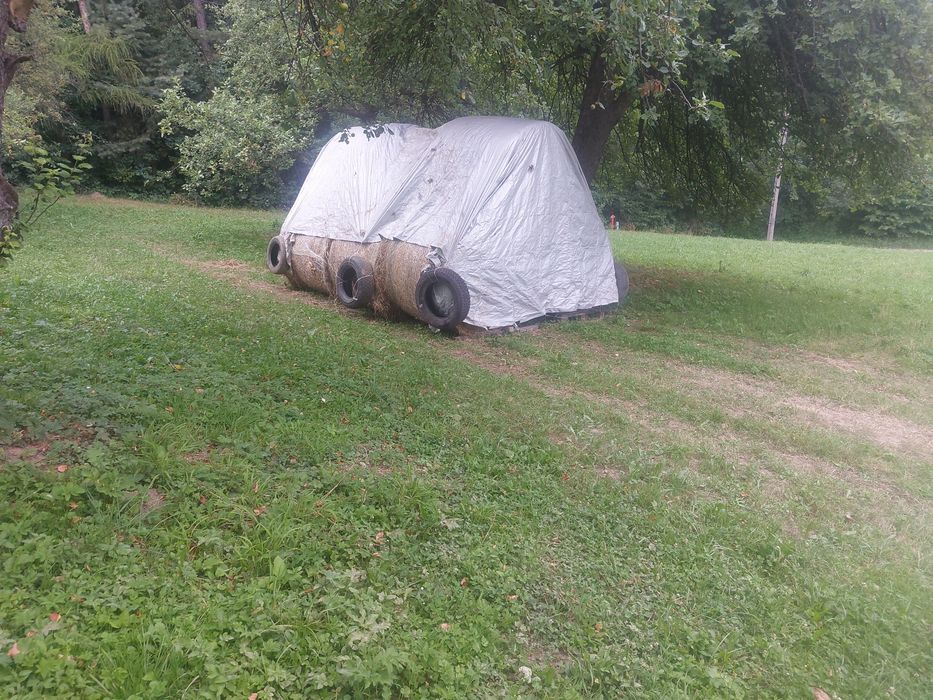 9 Bałtów siana z pierwszego pokosu