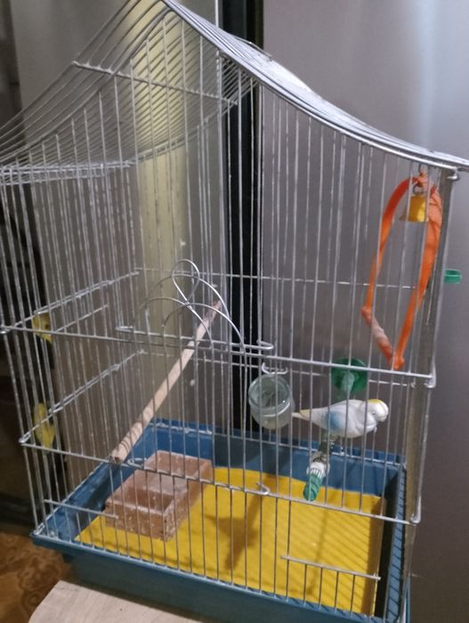 Велика клітка для папуг, за супер ціною! Простора, в гарному стані.