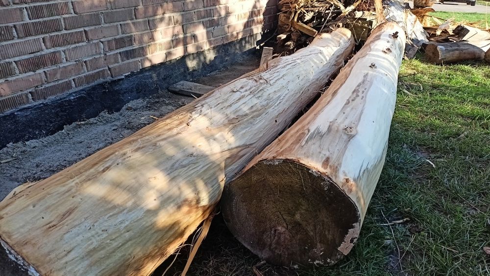 Kłody, kloce drewna lipy - ścięto grudzień 2022 r.