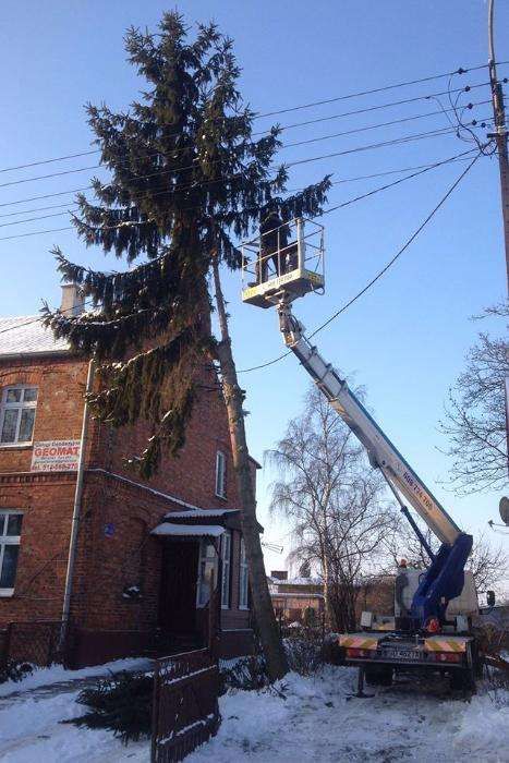 Wycinka i korekta drzew, Nowy Dwór Gd, Krynica Morska, Elbląg, Malbork