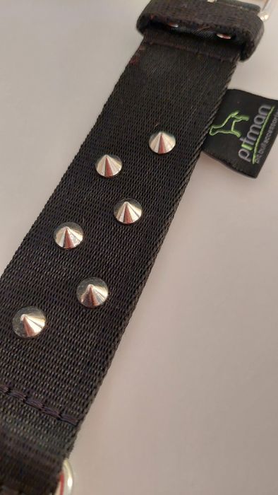 Obroża dla psa Pitman 4 cm