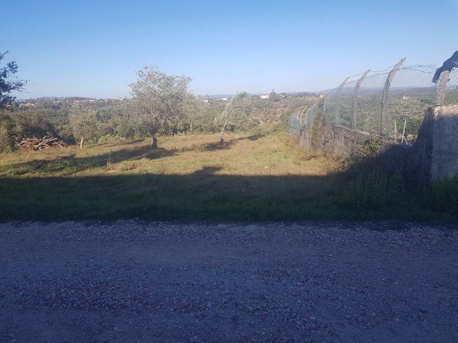 Fátima Santuário ( 20 KMS ) Terreno Viab Const água luz esgotos só com o próprio