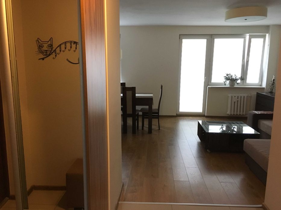 Mam do wynajęcia 2-pokojowe, umeblowane mieszkanie 49 m² – wolne od lipca | Witomiono-Leśniczówka | piwnica - Więcej