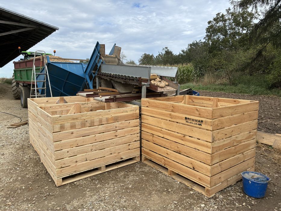 Sortownik do ziemniaków