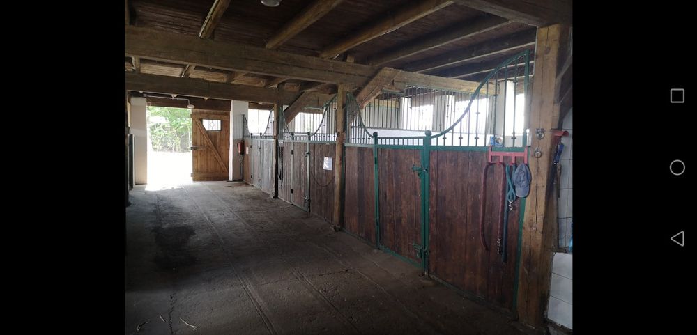 Stajnia, gospodarstwo rolne , 2,6ha - Widok 3
