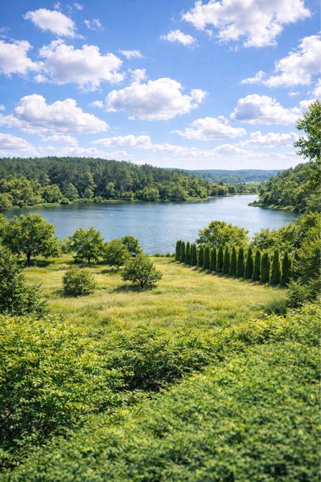 #453 Сдаю великий будинок з басейном