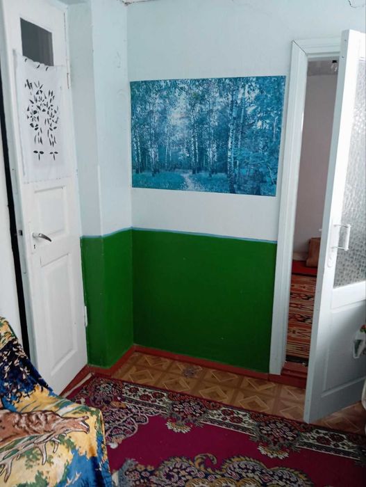 (5) Продам будинок в Довгополівці 8916