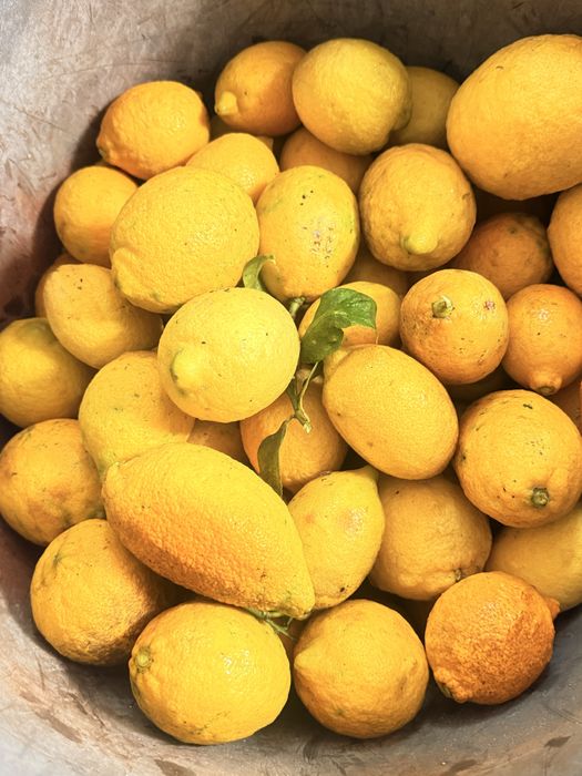 Limoes caseiros