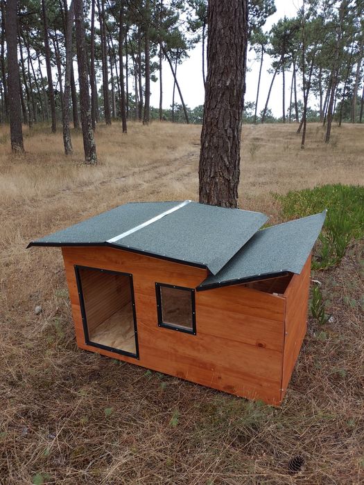 Casota para pastor astraliano