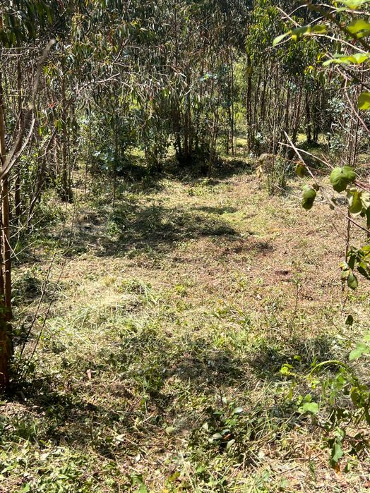Faço limpezas de terrenos quintais