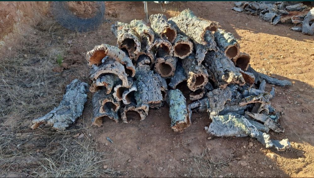 Tubos de cortiça 100% natural – Ideal para terrários e decoração