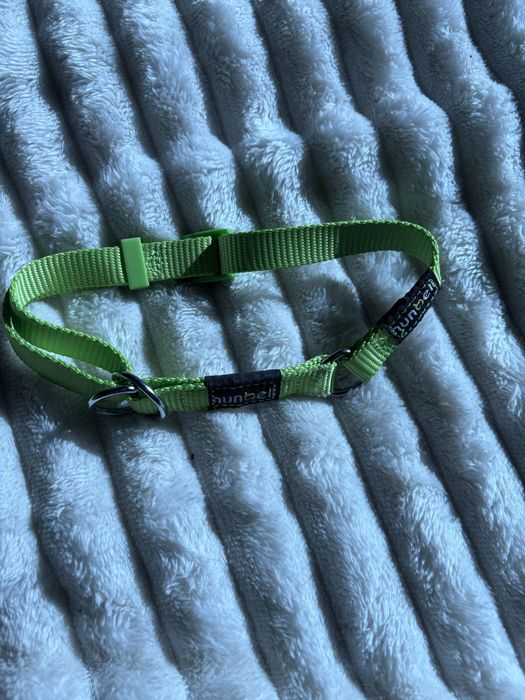 Obroza polzaciskowa dla psa