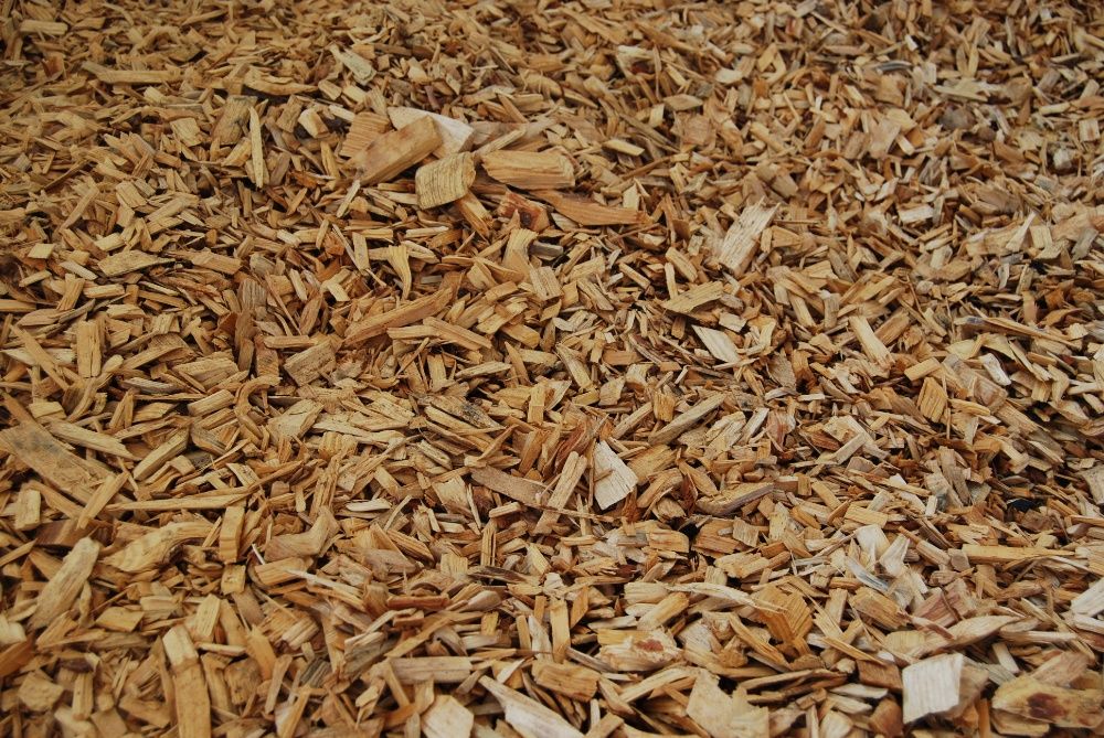 Estilha seca e biomassa para caldeiras industriais