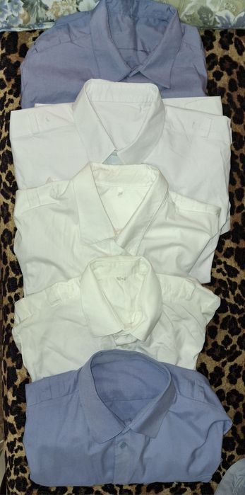 Костюм проводника