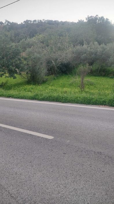 Terreno Algarve -Estoi-Faro