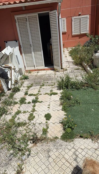 Jardinagem e limpezas e limpezas de terrenos