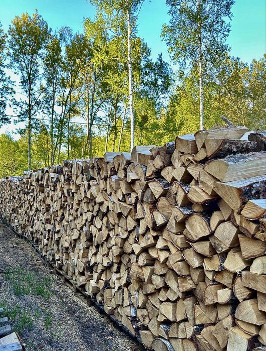 Drewno kominkowe oraz opałowe