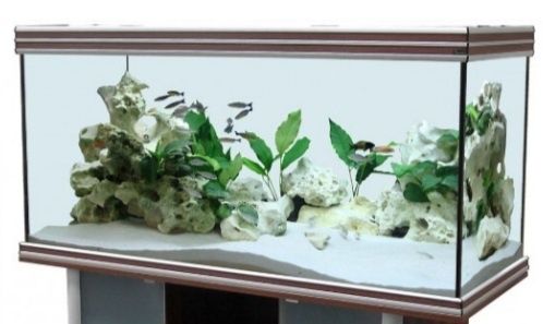 Aquarios para peixes