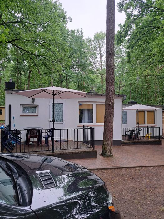 Sprzedam letniskowy domek w Skorzęcinie k. Powidza