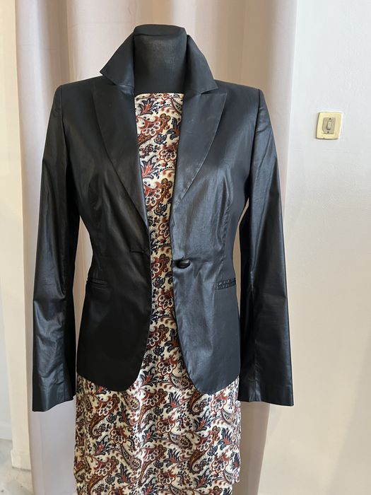 Blazer lion of porches