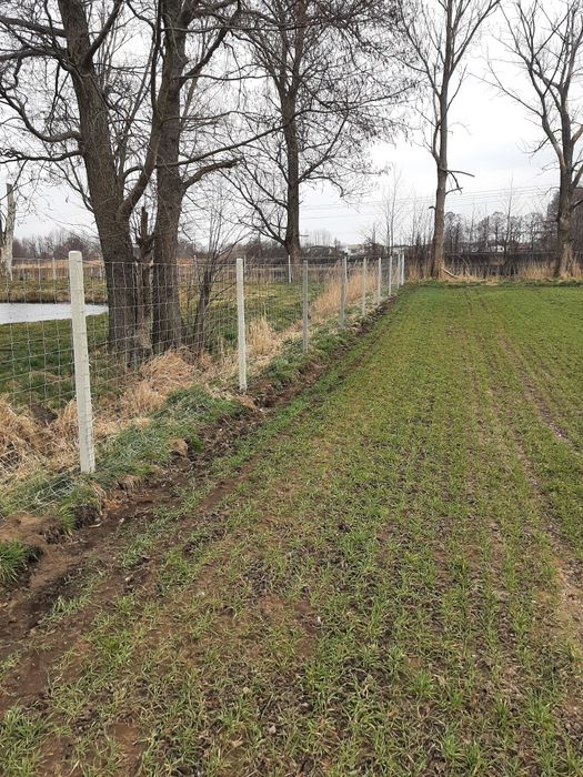 Ogrodzenie siatka leśna słupek betonowy