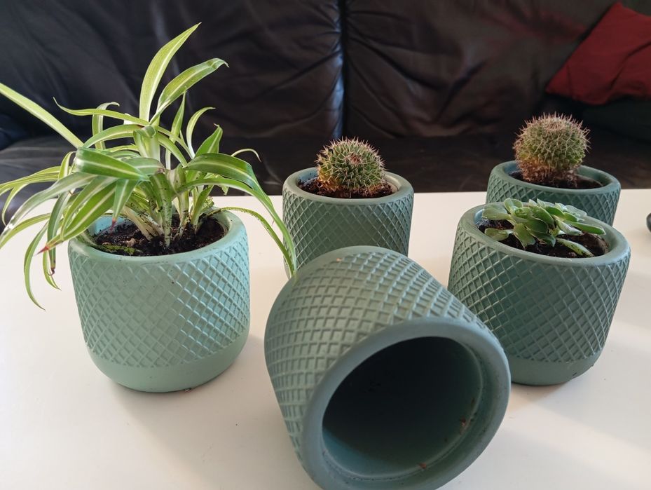 Mini plantas com vaso cerâmica