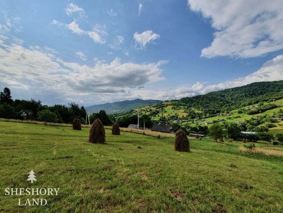 Будинки та земельні  ділянки в Шешорах
