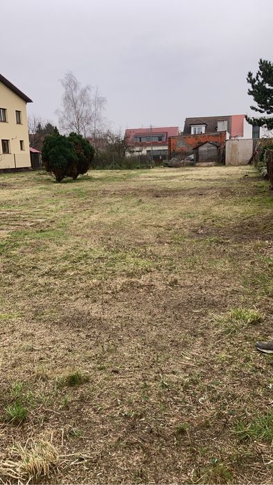 Wycinanie podcinanie skracanie drzew