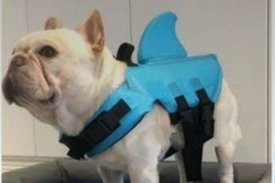 Жилет для плавания.