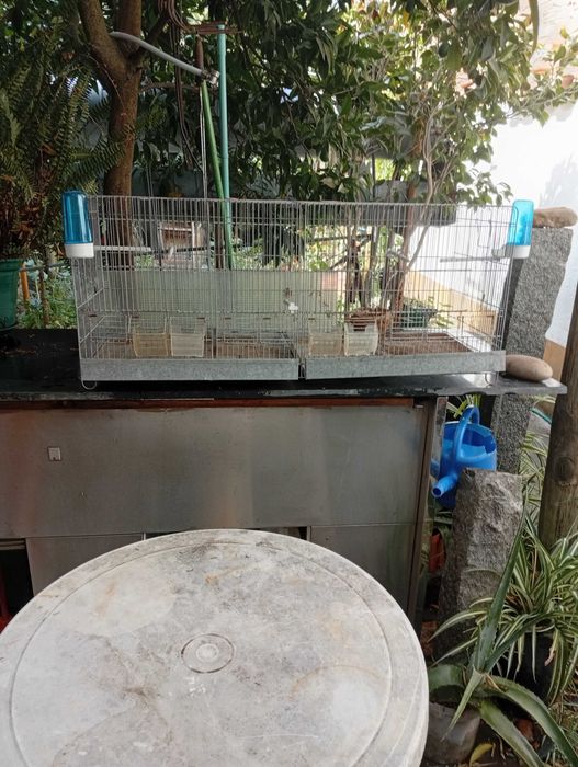 Gaiola de pássaro c/divisão usado mas em bom estado