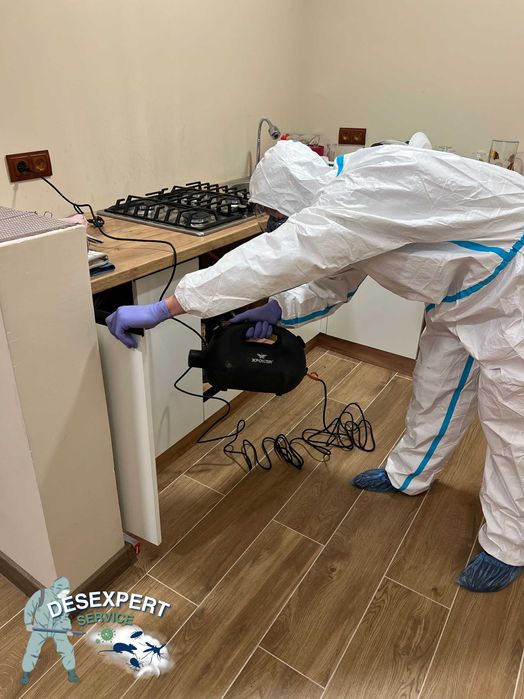 Професійна обробка від комах та гризунів. Виїзд сьогодні! 24/7