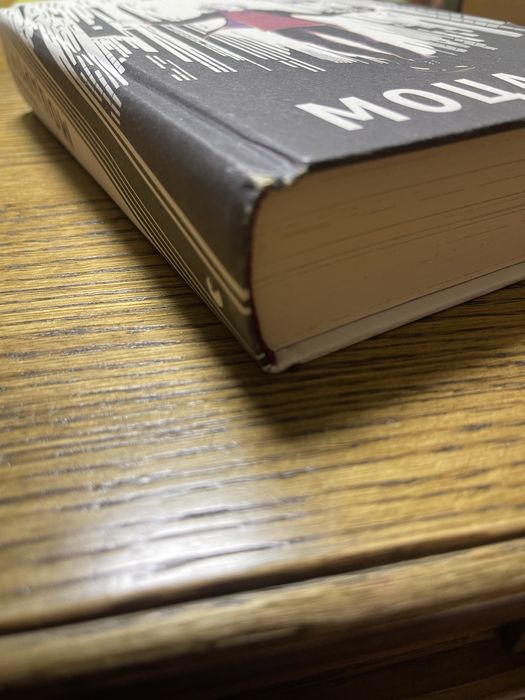 Книга «Моцарт 2.0» — Дорж Бату