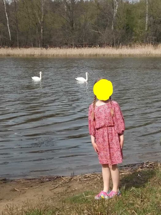 Sukienka Reserved r. 128 cm