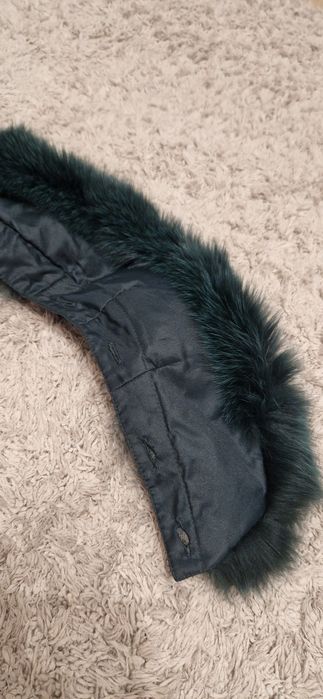 Kołnierzyk norka zielony