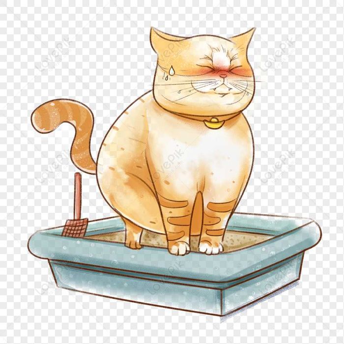 Caixa WC para gatos impecável