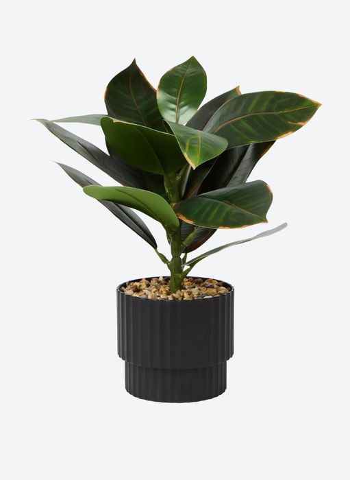 Planta artificial  - 37cm
