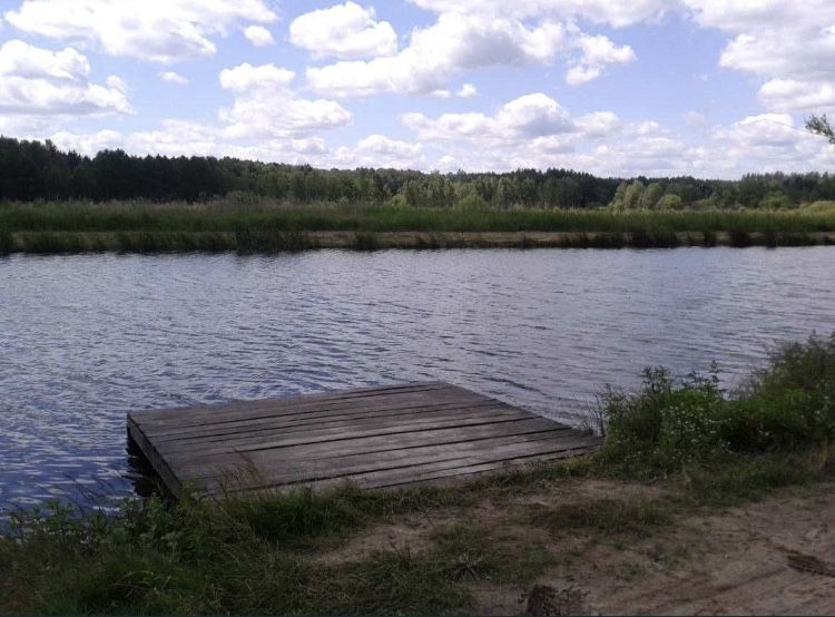 Продам участок Нежиловичи 53 сот.