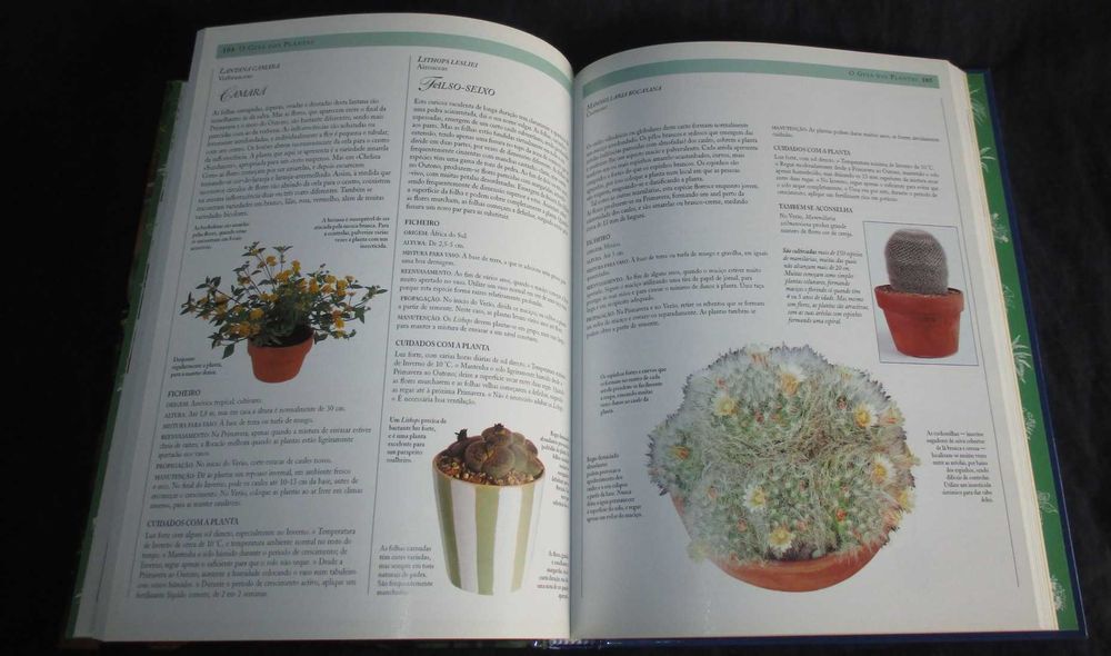 Livro O Grande Livro das Plantas de Interior Jane Courtier