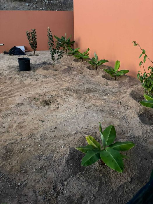 Bricolagem Porto Santo.