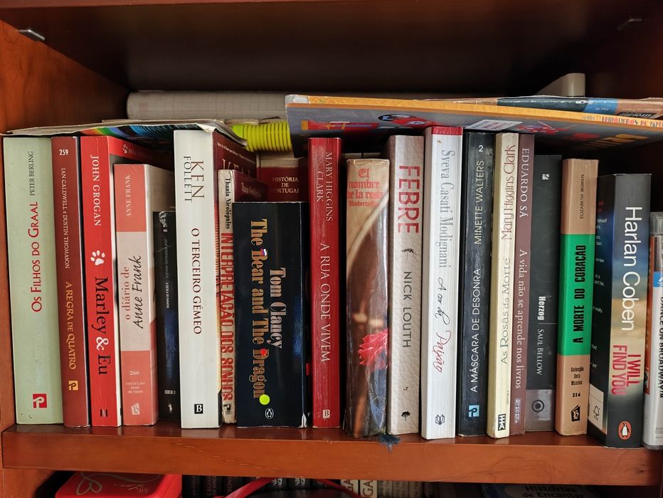 Livros Ken Follett, modignani, mia couto, wiggins Clark, Jung chang