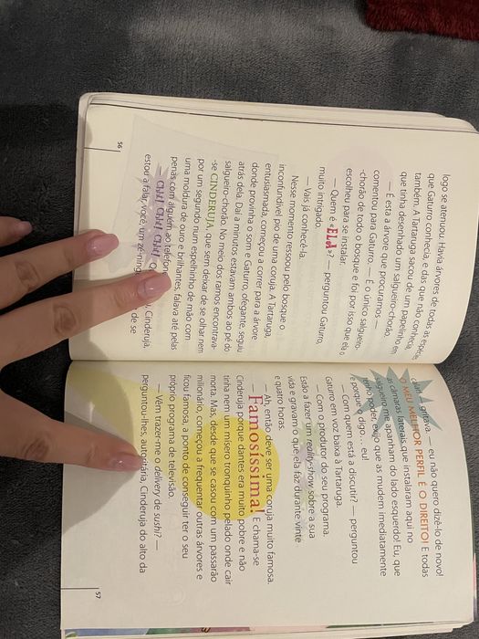 Livro “ Gaturro e o mistério das cincos ágatas” NIK