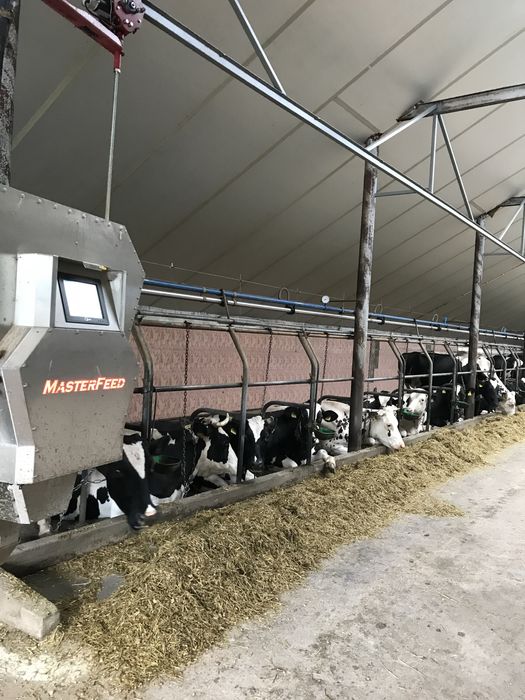 Częsci do robot paszowy masterfeed pellon, stacja paszowa dojarka