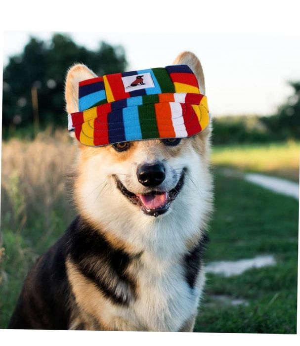 Кепка ,шапка для собак,пса,животных радужная,новая одежда,одяг