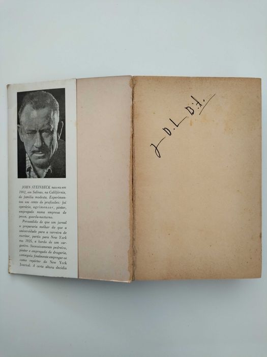 Os náufragos do autocarro (John Steinbeck)