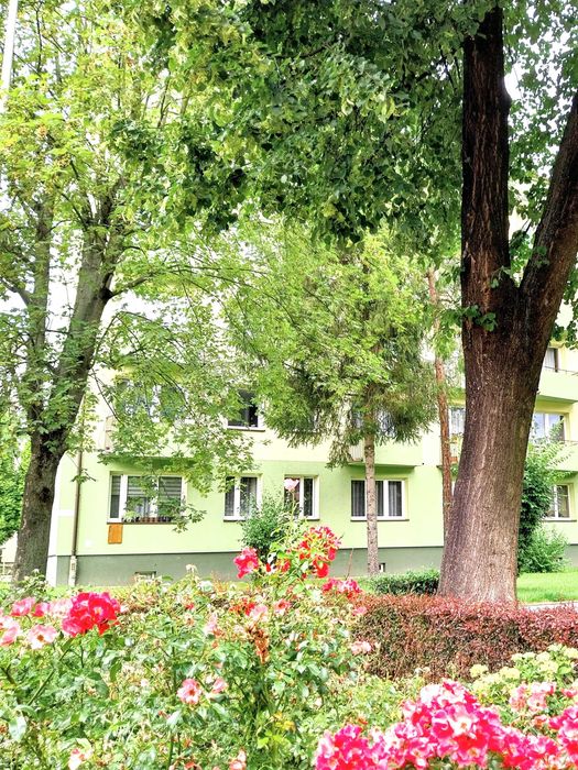Oświęcim os. Chemików mieszkanie 2 pokojowe 44m2 parter na sprzedaż bezpośrednio