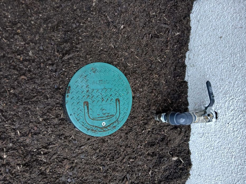 Pack Trevo (Rega Simples + Jardim Verde)