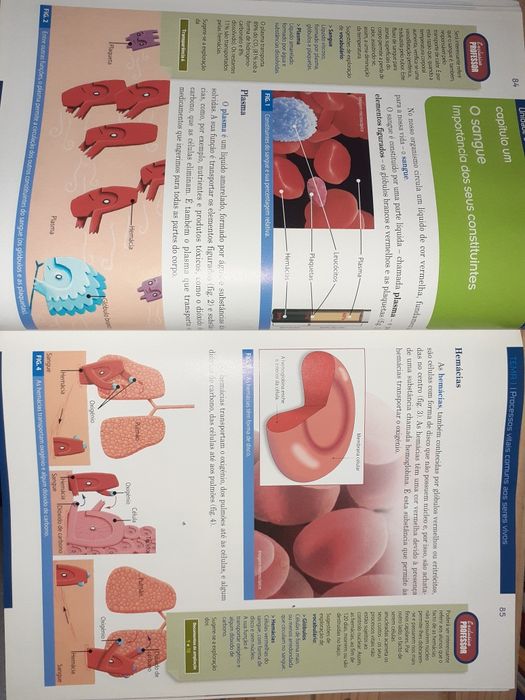Manual Ciências da Natureza  6.º ano
