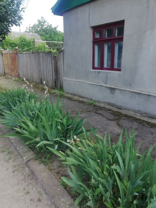 Сдаётся частный дом