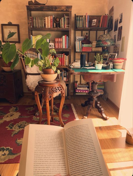 Desbloquear a leitura-ler literatura