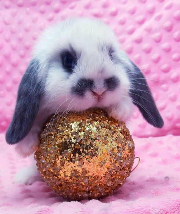 Ніжність у кожному русі!